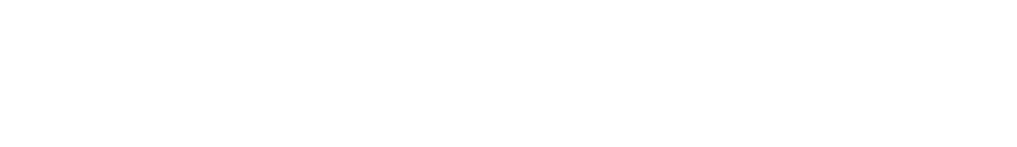 ENKAI FORCE